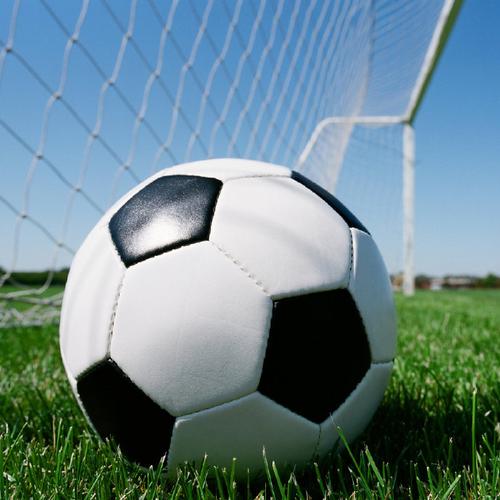 Innovation raises golden fields from former barren salt flats